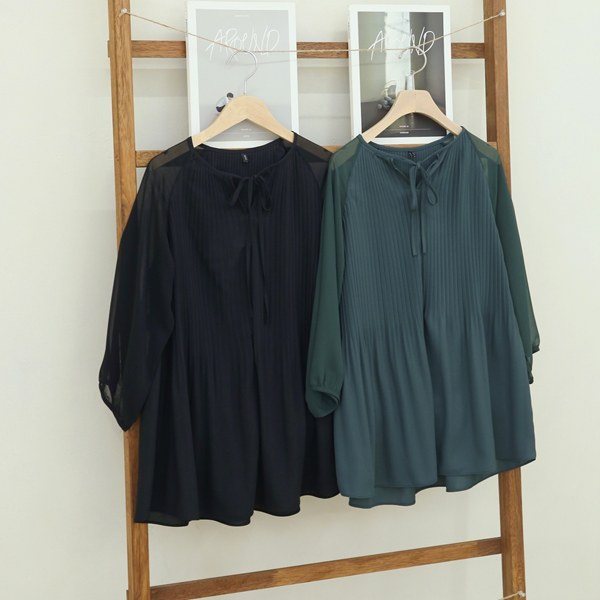 TBC2002_DO Let Pleated Chiffon Blouse